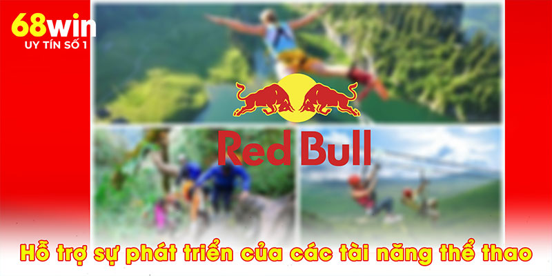 Hỗ trợ sự phát triển của các tài năng thể thao