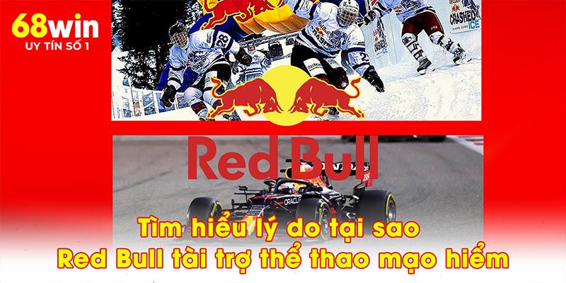 Tìm hiểu lý do tại sao Red Bull tài trợ thể thao mạo hiểm